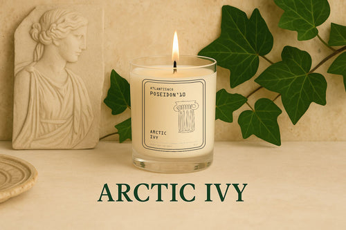 ARCTIC IVY